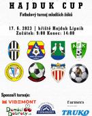 Hajduk Cup